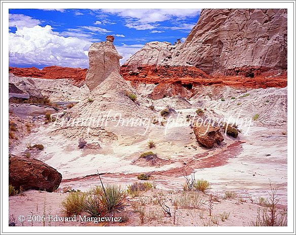 450384   Paria wilderness area, Utah 